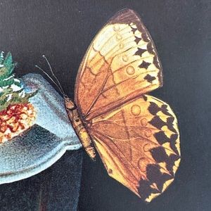 Meet your Posher, Ac